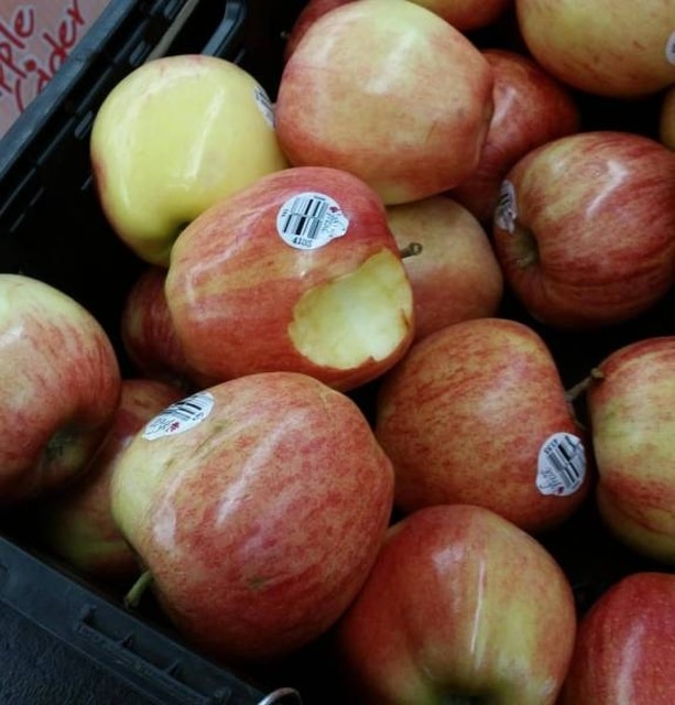 so_freaking_annoying