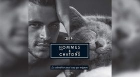 thumb hommes chatons
