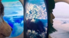 challenge prend l'avion illusion lunettes des WC