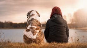 chien-court-métrage-si-pouvez-parler-larmes