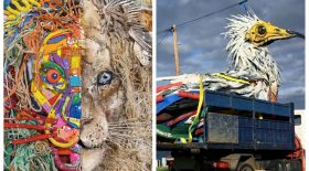 Collage Bordalo