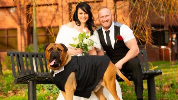 couple avance la date du mariage chien malade