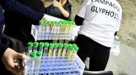 glyphosate