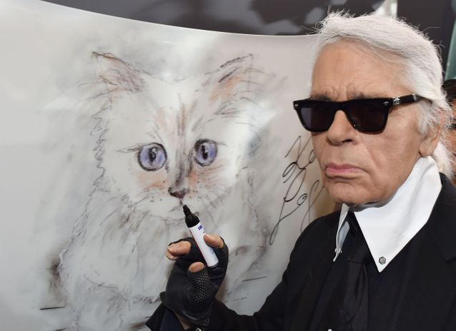 Karl et choupette