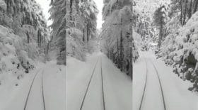 Neige Train Corse