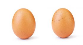 éclosion œuf le plus liké instagram
