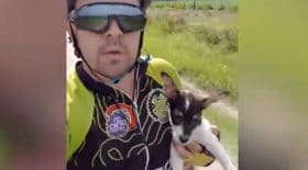 sauvetage chiot