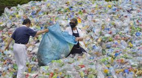 plastique