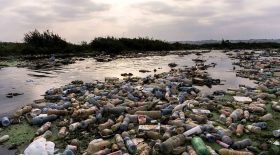 Pollution plastique