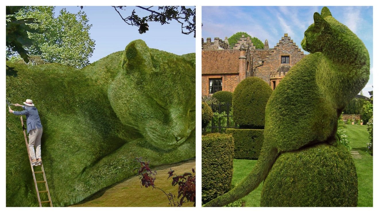 Pour honorer la mémoire de son chat décédé, il crée des buissons géants