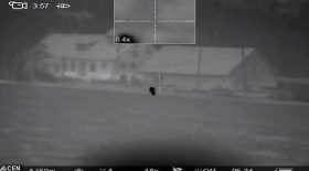 chasseur tire à la carabine confond homme biche