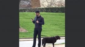 chien-perdu-pancarte-recherche-maître-états-unis