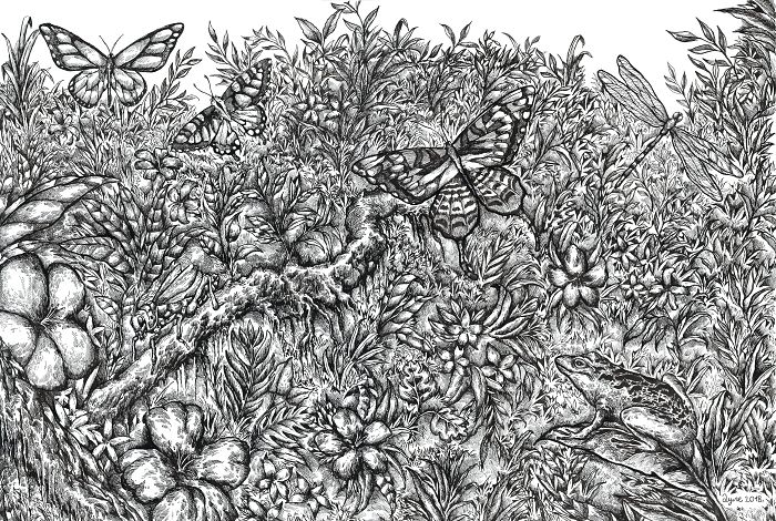 Dessin enfant 16 ans