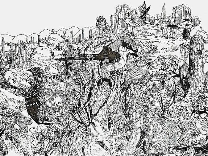 Dessin enfant 16 ans