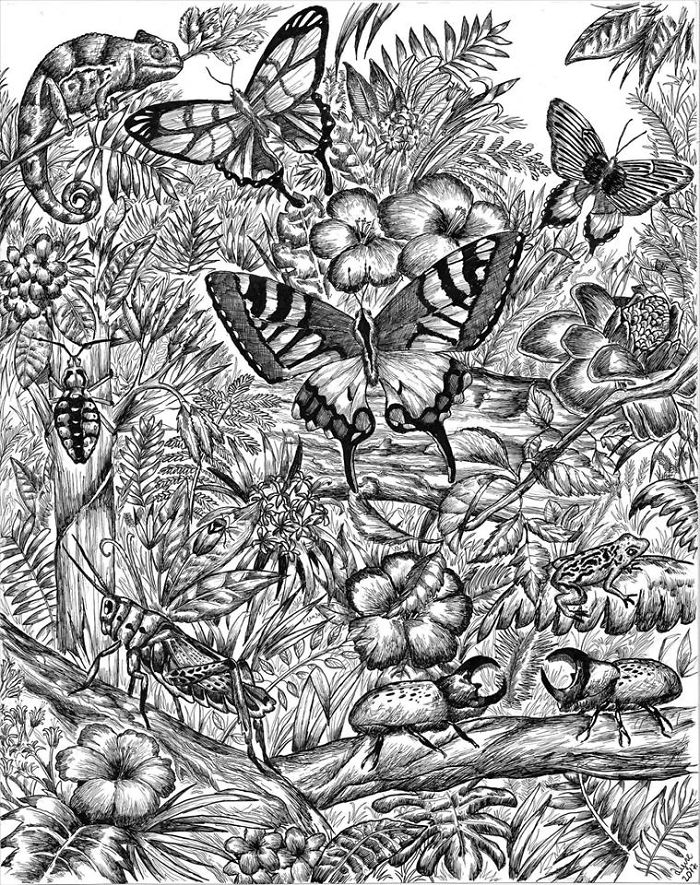 Dessin enfant 16 ans