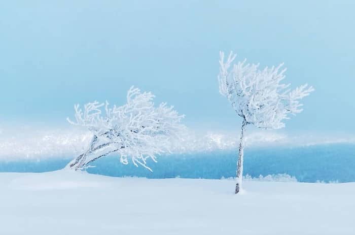 photo hiver