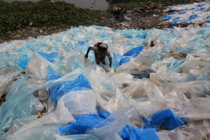 Ces photos qui prouvent les ravages de la pollution plastique sur la ...