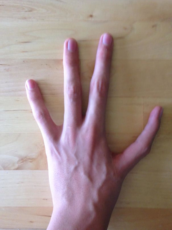 quatre-doigts