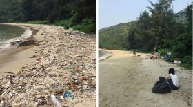trashtag challenge