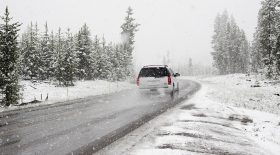 voiture-bloqué-neige-chien-survit-détail-réussit