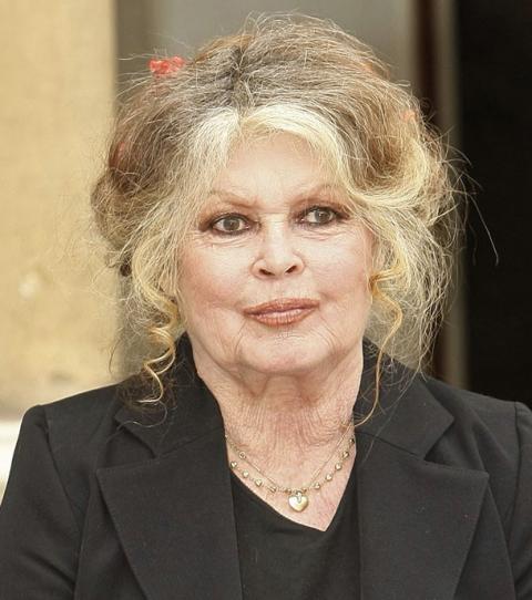 stars-protection-animale