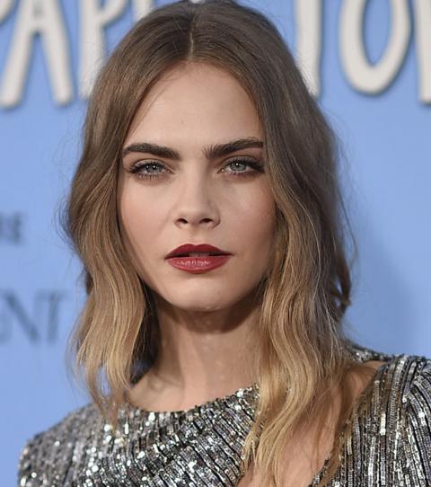 stars-protection-animale