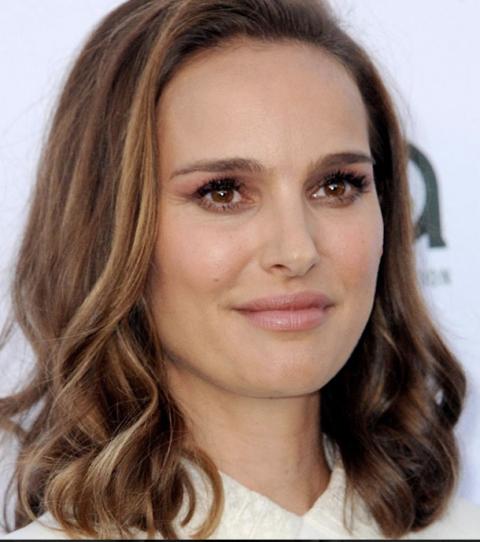 stars-protection-animale