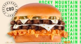 Burger CBD