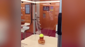 robot balle tennis salto