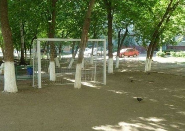 photo wtf cerveau éteint