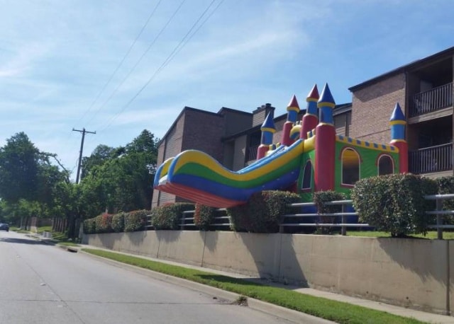 photo wtf cerveau éteint