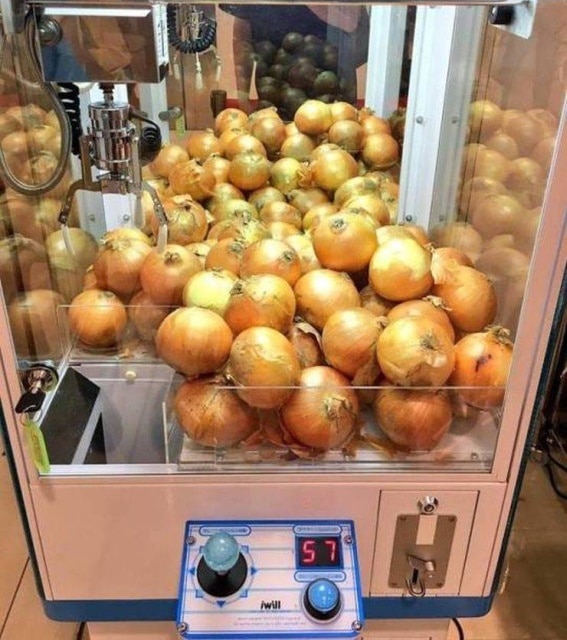 photo wtf cerveau éteint