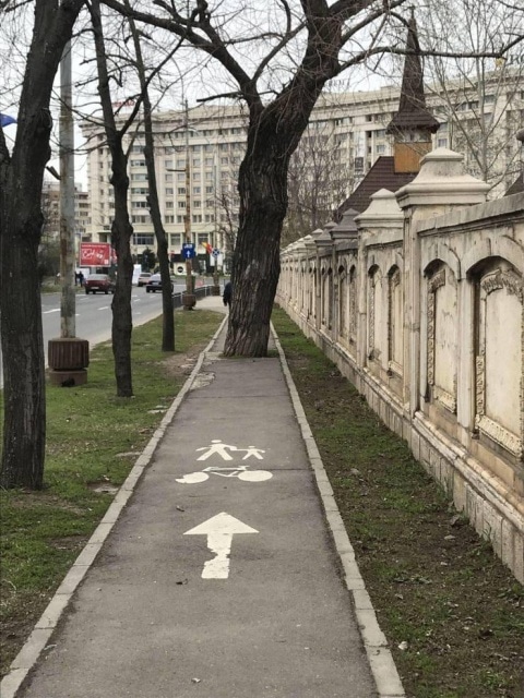 photo wtf cerveau éteint