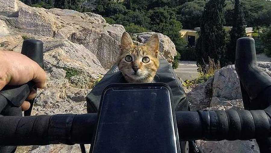 Il Fait Le Tour Du Monde A Velo Avec Un Chat Errant Qui A Croise Sa Route Il Fait Le Tour Du Monde A Velo Avec Un Chat Errant Qui A Croise Sa Route