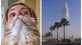 Collage Look Twice