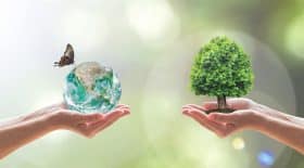 biodiversité