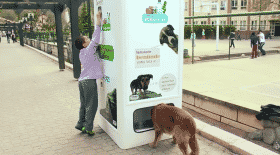 distributeur chien