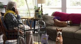 grand-mère mise en cage