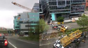 grue s'effondre campus google morts