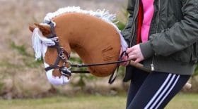 Hobby Horsing