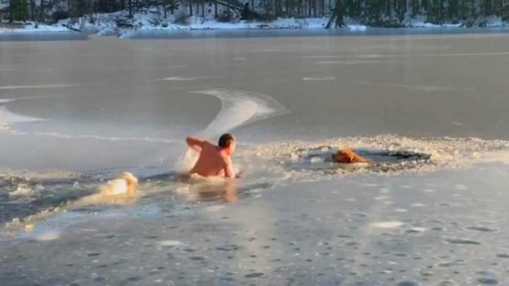 homme sauve chiens dans l'eau glacée