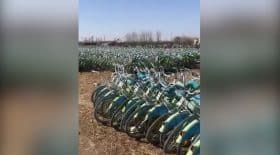 rewind velo chine