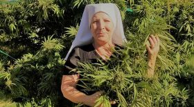 nonne bonnes sœurs huile de cbd