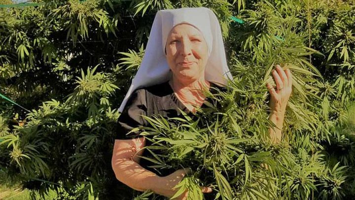 nonne bonnes sœurs huile de cbd