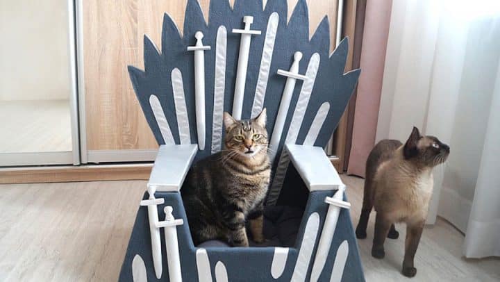 game of thrones panier pour chat trône de fer