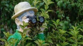 stalker