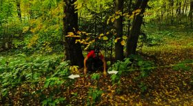 foret