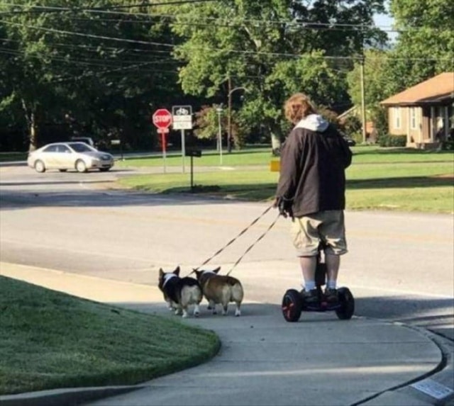 truc bizarre sur la route