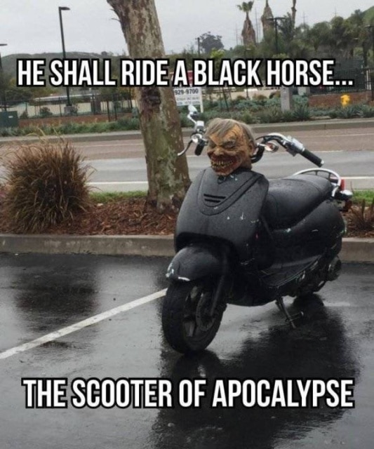 truc bizarre sur la route