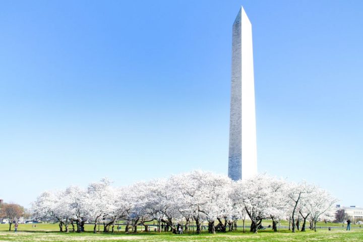 washington-monument-fini
